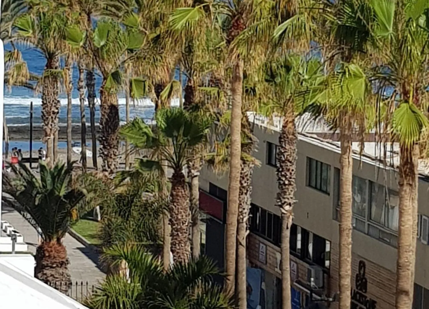 Cool Duplex In Playa Las Americas Playa de las Americas  0*, Playa de las Americas (Tenerife) Spain